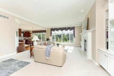 13219 Blaisdell Dr, Dewitt, MI 48820 photo 13