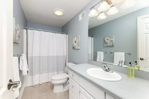 13219 Blaisdell Dr, Dewitt, MI 48820 photo 42