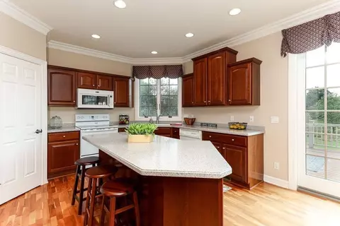 13219 Blaisdell Dr, Dewitt, MI 48820 photo 19