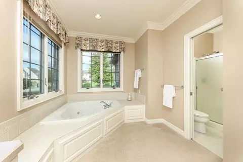 13219 Blaisdell Dr, Dewitt, MI 48820 photo 33