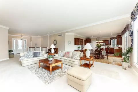 13219 Blaisdell Dr, Dewitt, MI 48820 photo 16