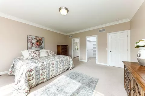13219 Blaisdell Dr, Dewitt, MI 48820 photo 29