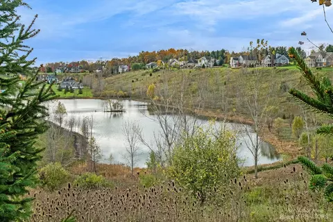 4369 Red Mesa Ct, Dexter, MI 48130 photo 13