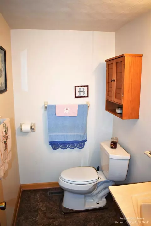 9970 Allison Rd, Maybee, MI 48159 photo 9