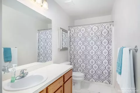 8217 Webster Dr, Dexter, MI 48130 photo 19