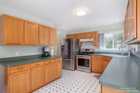 8217 Webster Dr, Dexter, MI 48130 photo 8
