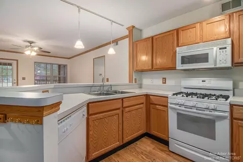 924 Oakbrook Dr, Jackson, MI 49203 photo 5