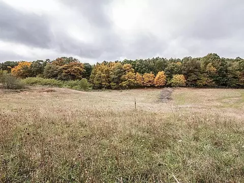 8151 Zeeb, Dexter, MI 48130 photo 53