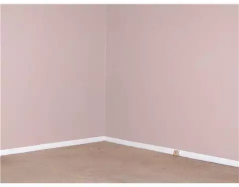 905 Park St, Tecumseh, MI 49286 photo 9
