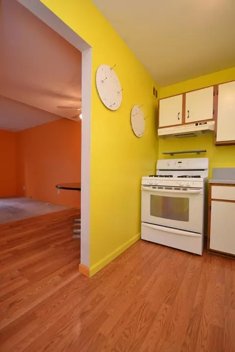 307 Clark St, Saline, MI 48176 photo 9