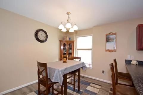 667 Ridge Ln, Tecumseh, MI 49286 photo 12