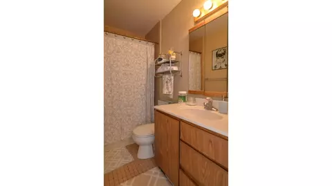 576 Glendale Cir, Ann Arbor, MI 48103 photo 57