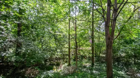 576 Glendale Cir, Ann Arbor, MI 48103 photo 36