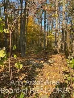 3164 Windmill Dr, Adrian, MI 49221 photo 79