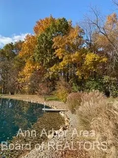 3164 Windmill Dr, Adrian, MI 49221 photo 72