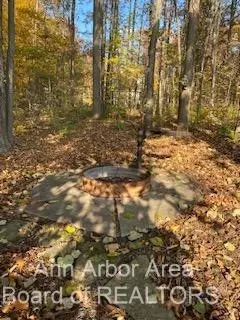 3164 Windmill Dr, Adrian, MI 49221 photo 80