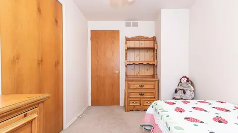 47 Tower Dr, Saline, MI 48176 photo 24