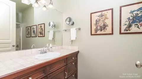 14 Riverside Ln, Saline, MI 48176 photo 50