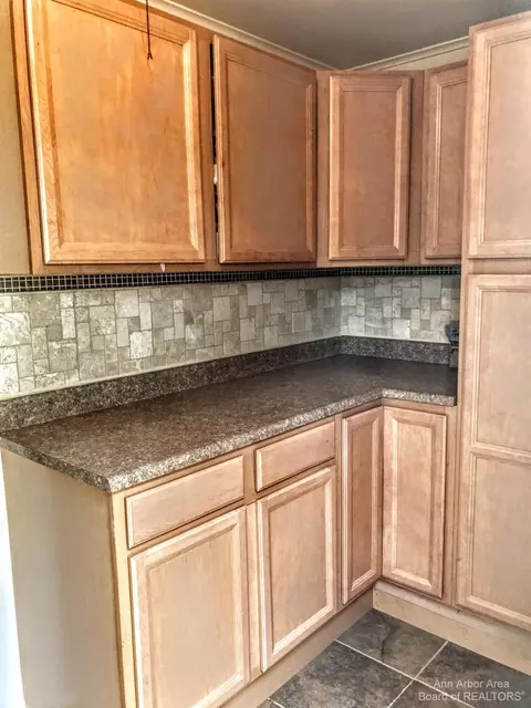 9732 Moon Rd, Saline, MI 48176 photo 37