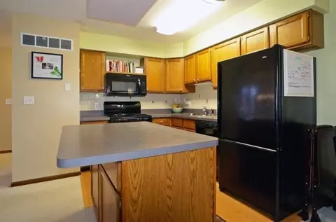 527 Echo Ct, Saline, MI 48176 photo 14