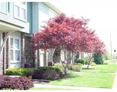 241 N Maple, Saline, MI 48176 photo 2
