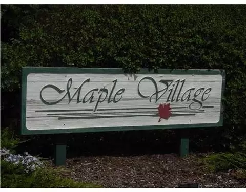 241 N Maple, Saline, MI 48176 photo 5