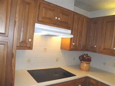 2787 N Maple Rd, Ann Arbor, MI 48103 photo 6