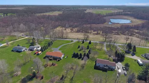 10270 Coonhill Rd, Munith, MI 49259 photo 29