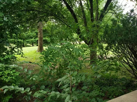 6200 Centennial Rd, Tecumseh, MI 49286 photo 32