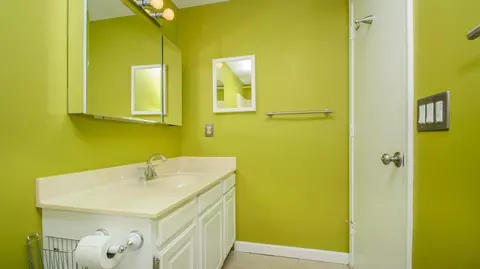 3224 Farmbrook Ct, Ann Arbor, MI 48108 photo 47