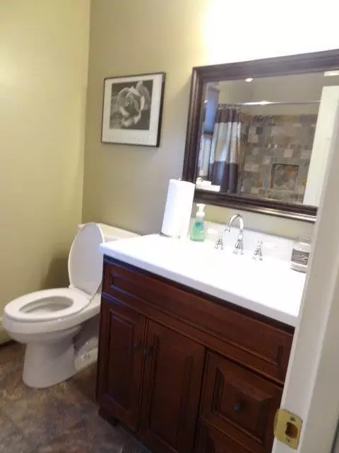 6929 Coachlite Dr, Tecumseh, MI 49286 photo 17