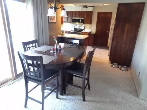6929 Coachlite Dr, Tecumseh, MI 49286 photo 7