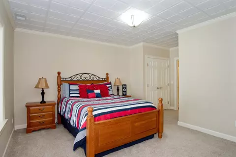10023 Applegate Ln, Brighton, MI 48114 photo 49