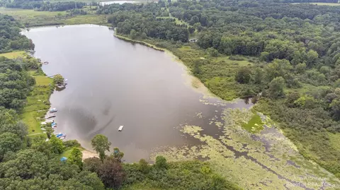 222 Ellsworth Lake Dr, Gregory, MI 48137 photo 50