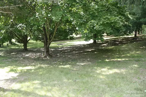 4125 Weber Rd, Saline, MI 48176 photo 32