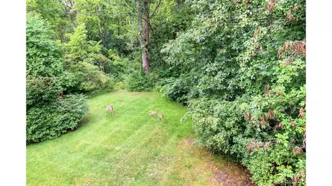 3107 Asher Rd, Ann Arbor, MI 48104 photo 9