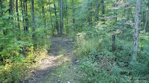 1405 Shepherd Rd, Tecumseh, MI 49286 photo 39