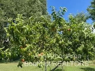 10980 Trinkle Trl, Dexter, MI 48130 photo 39
