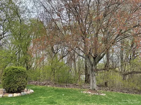 689 Glenwyth, Brighton, MI 48116 photo 8