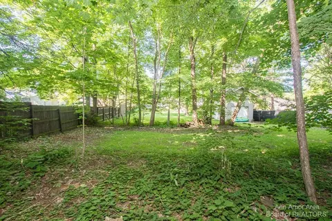 231 E Washington St, Dimondale, MI 48821 photo 59