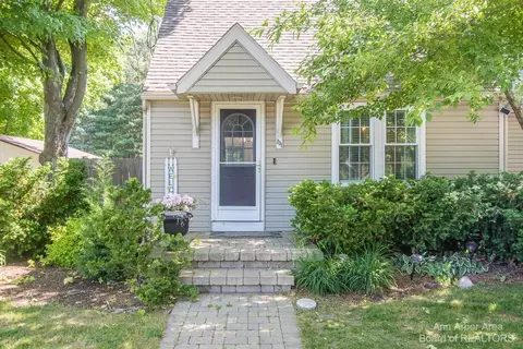 231 E Washington St, Dimondale, MI 48821 photo 4