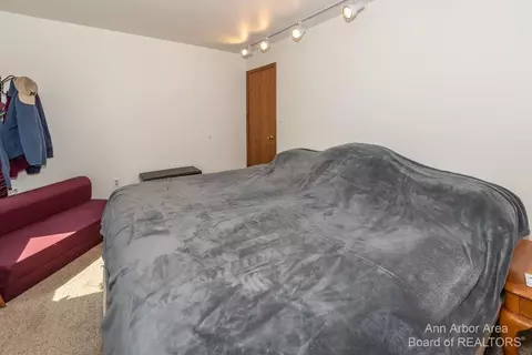 543 Echo Ct, Saline, MI 48176 photo 28