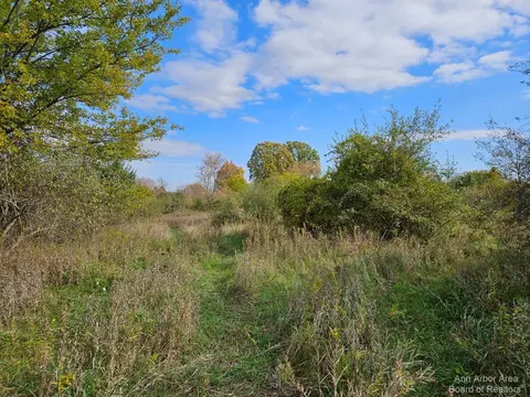 0 Conway Parcel D Rd, Chelsea, MI 48118
