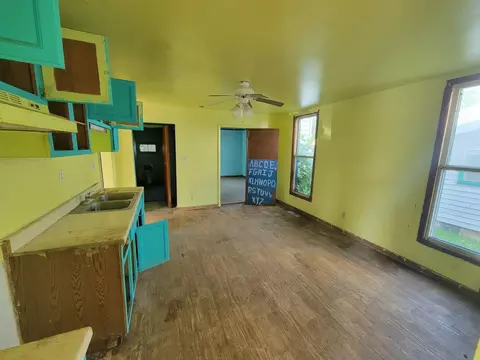 158 E Adams St, Ionia, MI 48846 photo 8