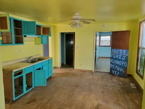 158 E Adams St, Ionia, MI 48846 photo 5