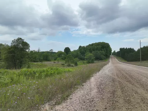 V/l 10a Patterson Road, Elmira, MI 49730