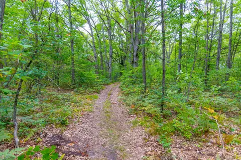 3825 E Buchanan St, White Cloud, MI 49349 photo 46