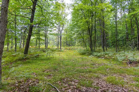 3825 E Buchanan St, White Cloud, MI 49349 photo 39
