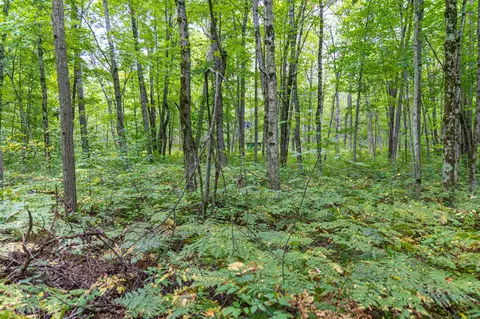 3825 E Buchanan St, White Cloud, MI 49349 photo 37