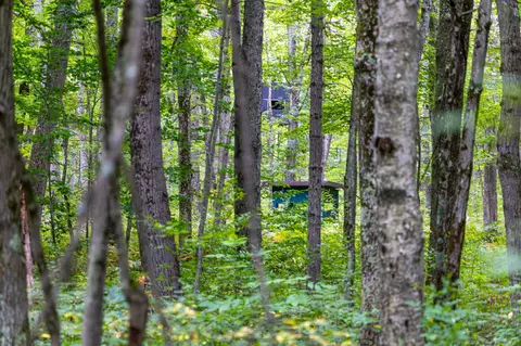 3825 E Buchanan St, White Cloud, MI 49349 photo 38